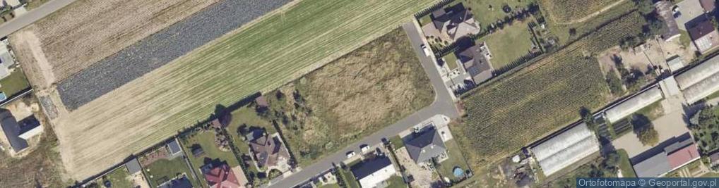Zdjęcie satelitarne Dąbrowskiej Marii ul.