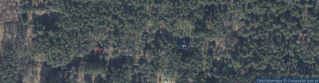 Zdjęcie satelitarne Danielowa ul.