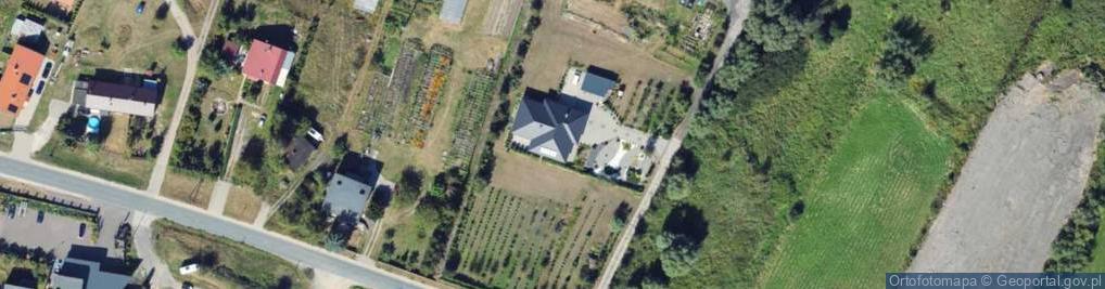 Zdjęcie satelitarne Daktylowa ul.