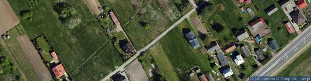 Zdjęcie satelitarne Dąbrowa ul.