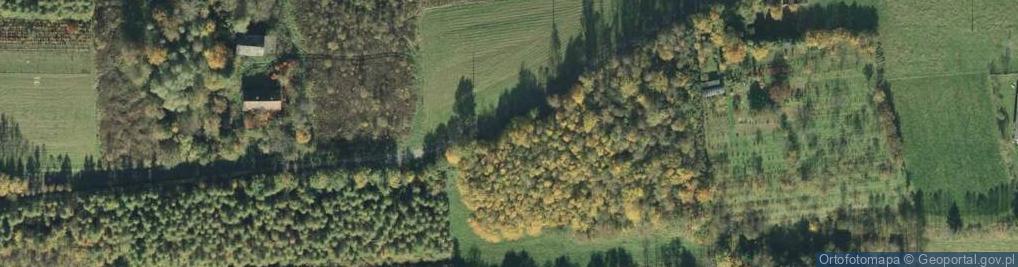 Zdjęcie satelitarne Daleka ul.