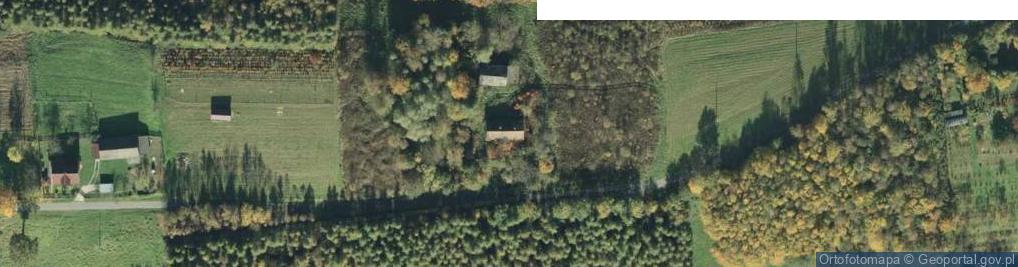 Zdjęcie satelitarne Daleka ul.