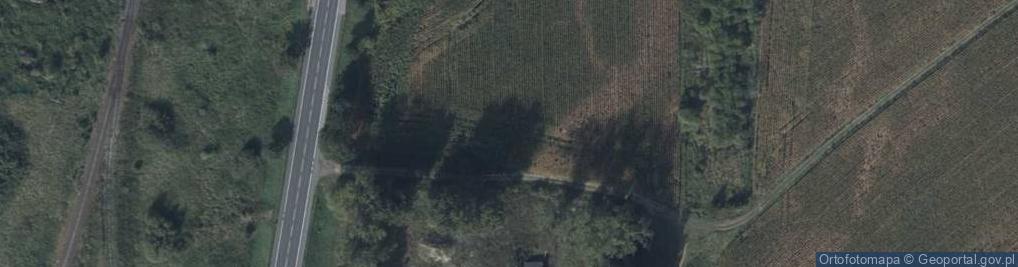 Zdjęcie satelitarne Daleka ul.