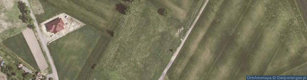 Zdjęcie satelitarne Daglezjowa ul.