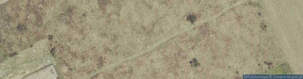 Zdjęcie satelitarne Daktylowa ul.
