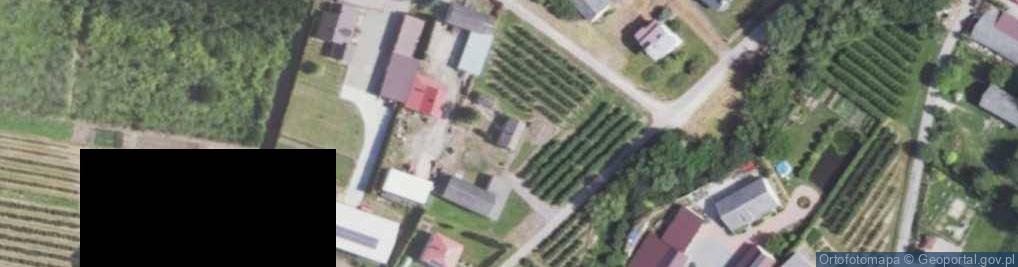 Zdjęcie satelitarne Dębiany ul.