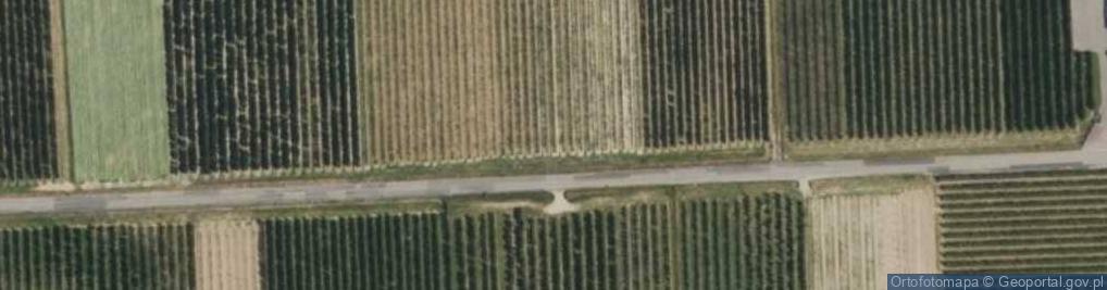 Zdjęcie satelitarne Dębie ul.