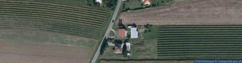 Zdjęcie satelitarne Dębina ul.