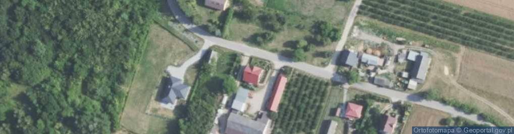 Zdjęcie satelitarne Dębno ul.