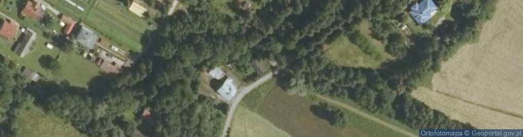 Zdjęcie satelitarne Dębno ul.