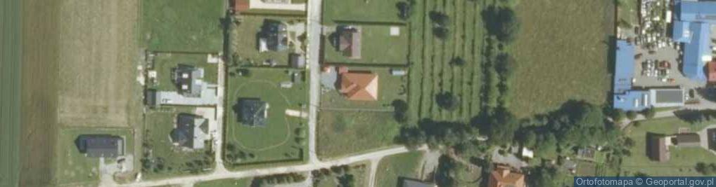 Zdjęcie satelitarne Dębno ul.