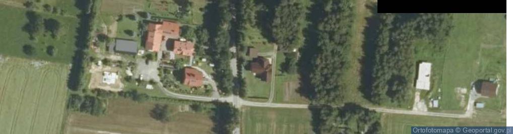 Zdjęcie satelitarne Dębno ul.