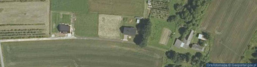 Zdjęcie satelitarne Dębno ul.