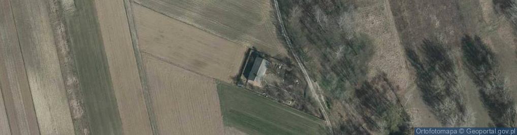 Zdjęcie satelitarne Dębno ul.