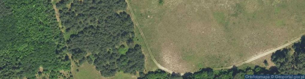Zdjęcie satelitarne Derkacze ul.