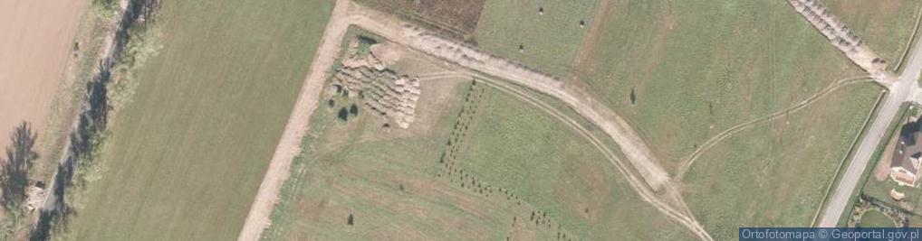 Zdjęcie satelitarne Dębowa ul.