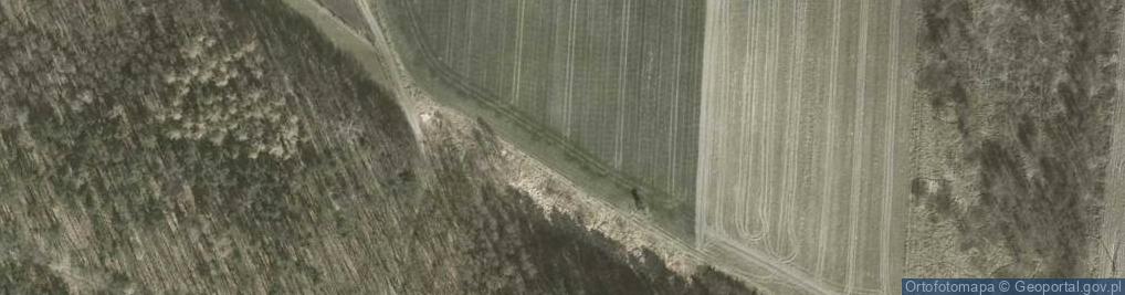 Zdjęcie satelitarne Dębowa ul.