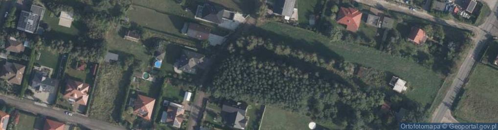 Zdjęcie satelitarne Dereniowa ul.