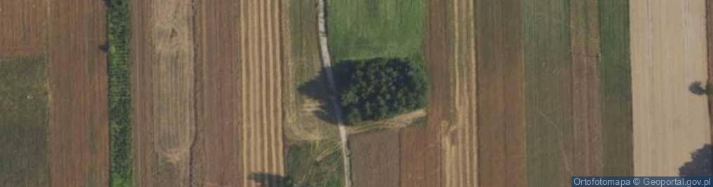 Zdjęcie satelitarne Dębowa ul.