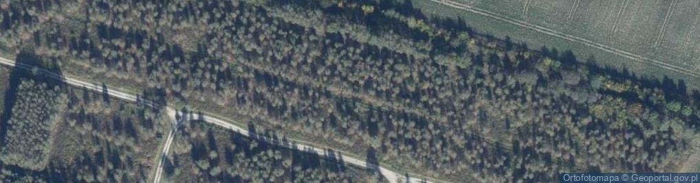 Zdjęcie satelitarne Dębowa ul.