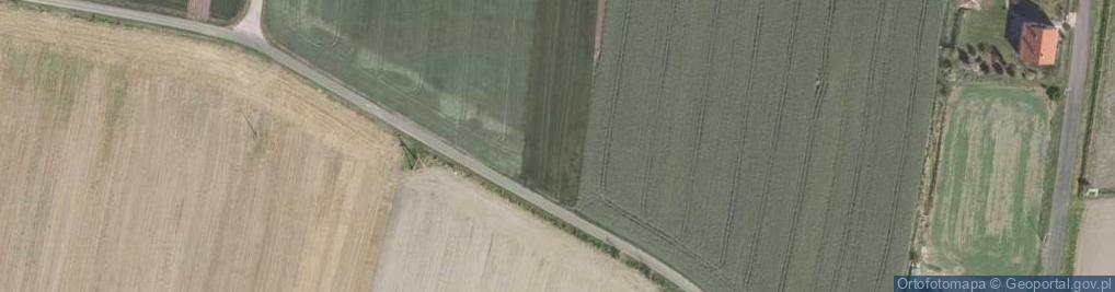 Zdjęcie satelitarne Dębowa ul.