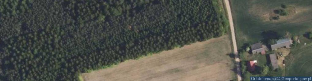 Zdjęcie satelitarne Długosielce ul.