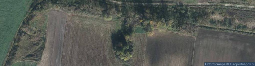 Zdjęcie satelitarne Dłużniów ul.