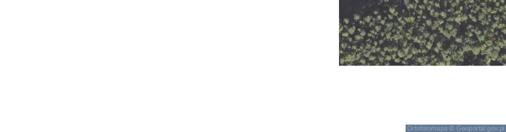 Zdjęcie satelitarne Długa ul.