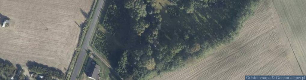 Zdjęcie satelitarne Dłużyńska ul.