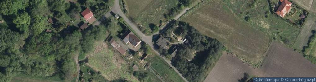 Zdjęcie satelitarne Dłutowa ul.