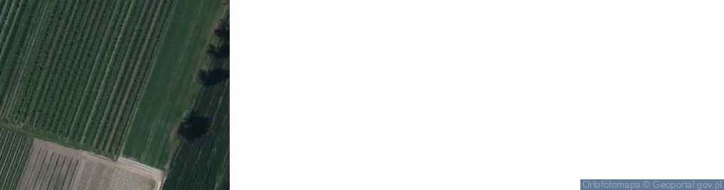 Zdjęcie satelitarne Dminin ul.