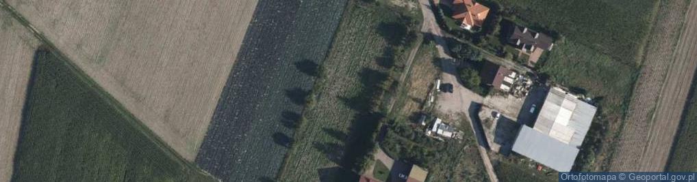 Zdjęcie satelitarne Dolna ul.
