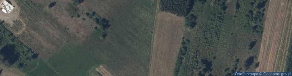Zdjęcie satelitarne Dolna ul.