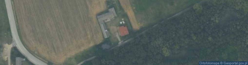 Zdjęcie satelitarne Dolna ul.