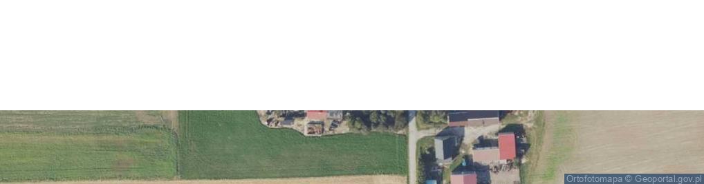 Zdjęcie satelitarne Dobieszewice ul.