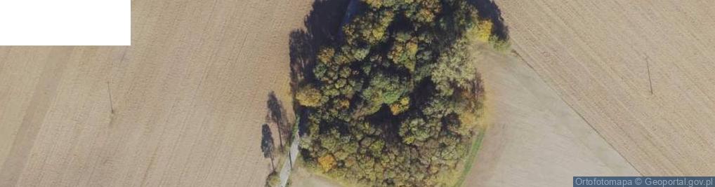 Zdjęcie satelitarne Dobieszewo ul.