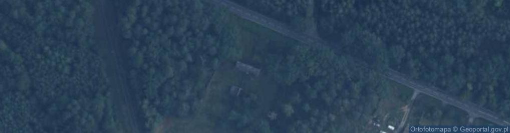 Zdjęcie satelitarne Dobojewo ul.