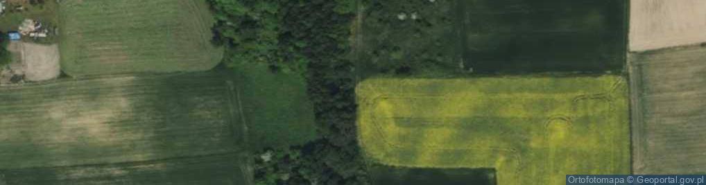 Zdjęcie satelitarne Dobra-Kolonia ul.