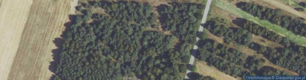 Zdjęcie satelitarne Dobrogoszczyce ul.