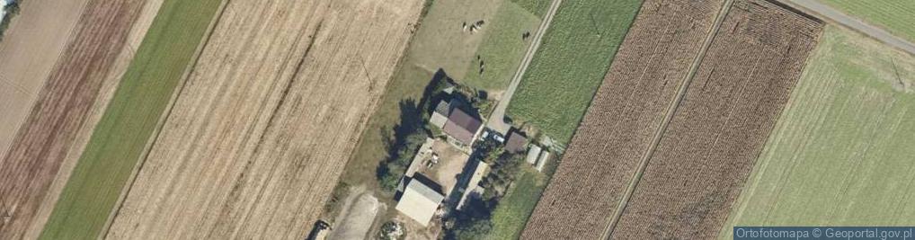 Zdjęcie satelitarne Dobrosołowo Pierwsze ul.