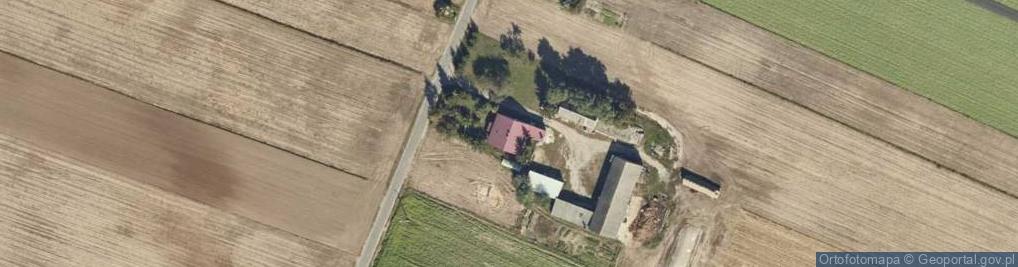 Zdjęcie satelitarne Dobrosołowo Pierwsze ul.