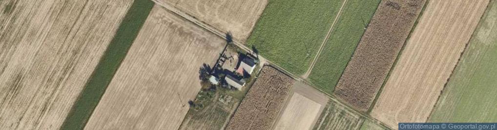 Zdjęcie satelitarne Dobrosołowo Pierwsze ul.