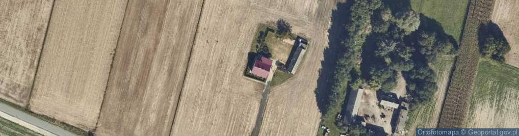 Zdjęcie satelitarne Dobrosołowo Pierwsze ul.