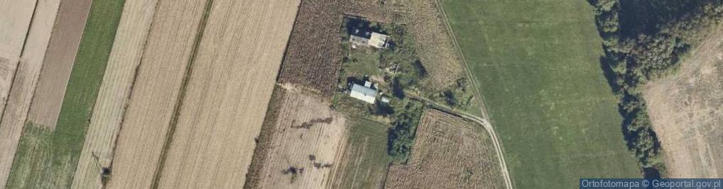 Zdjęcie satelitarne Dobrosołowo Trzecie ul.