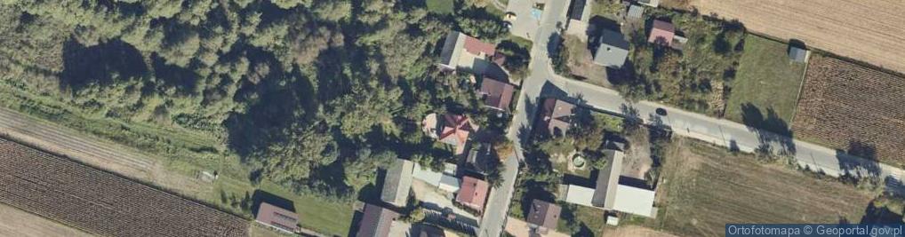 Zdjęcie satelitarne Dobrosołowo ul.