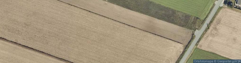 Zdjęcie satelitarne Dobrosołowo ul.