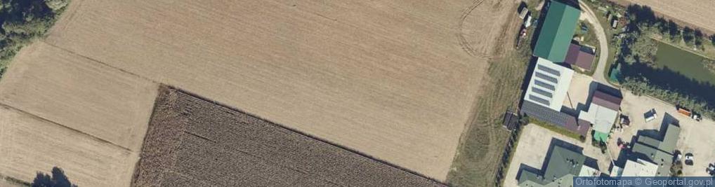 Zdjęcie satelitarne Dobrosołowo ul.