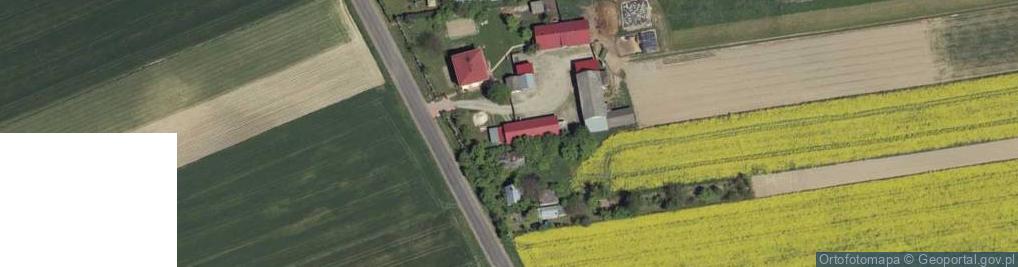 Zdjęcie satelitarne Dobrowola ul.