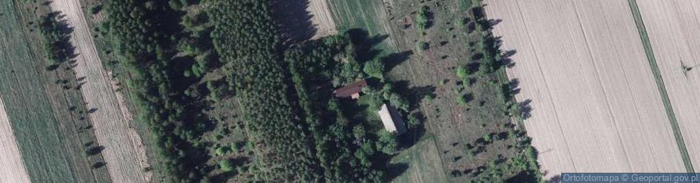 Zdjęcie satelitarne Dobrynka ul.