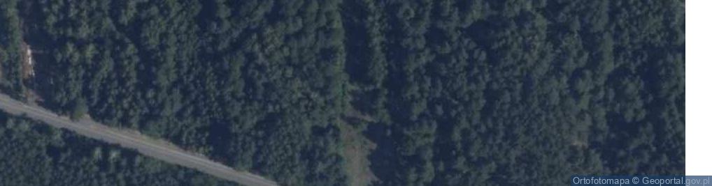 Zdjęcie satelitarne Domanice ul.